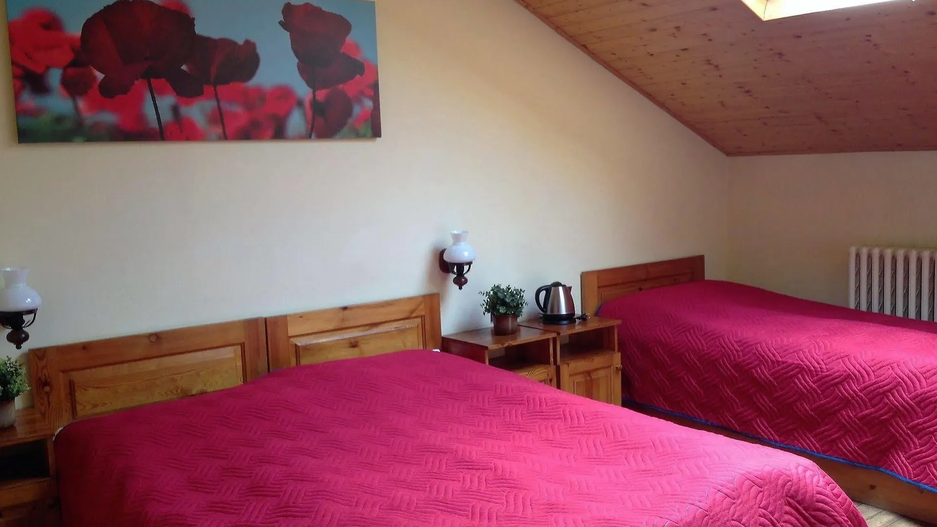Platan Pension Praga 3*,  Czechy