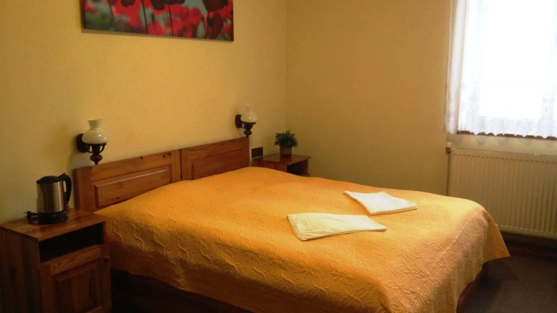 Platan Pension Praga 3*,